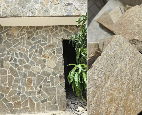 Đá rối vàng hướng dương